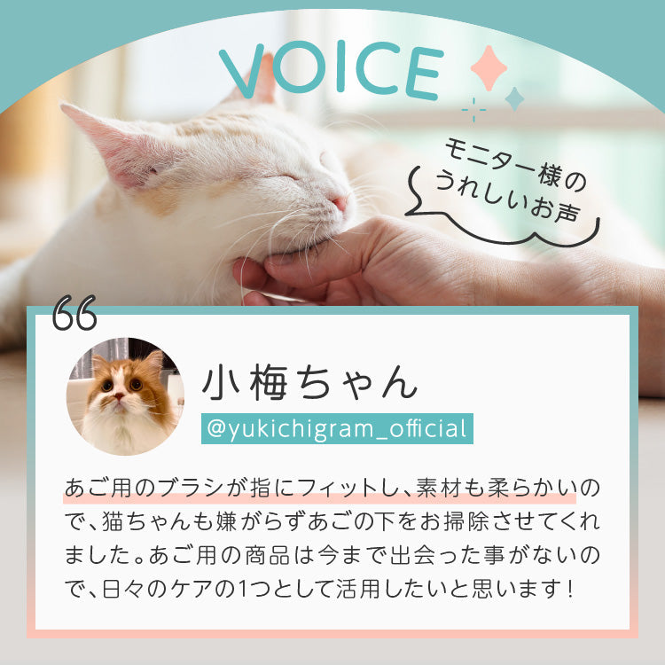 【獣医師監修】ネコあごキレイ