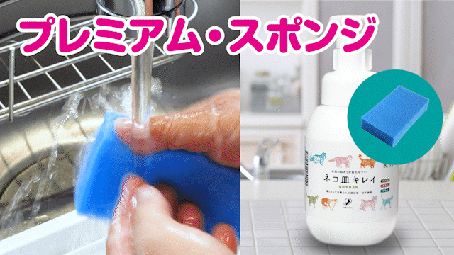 ネコ皿キレイ スポンジ