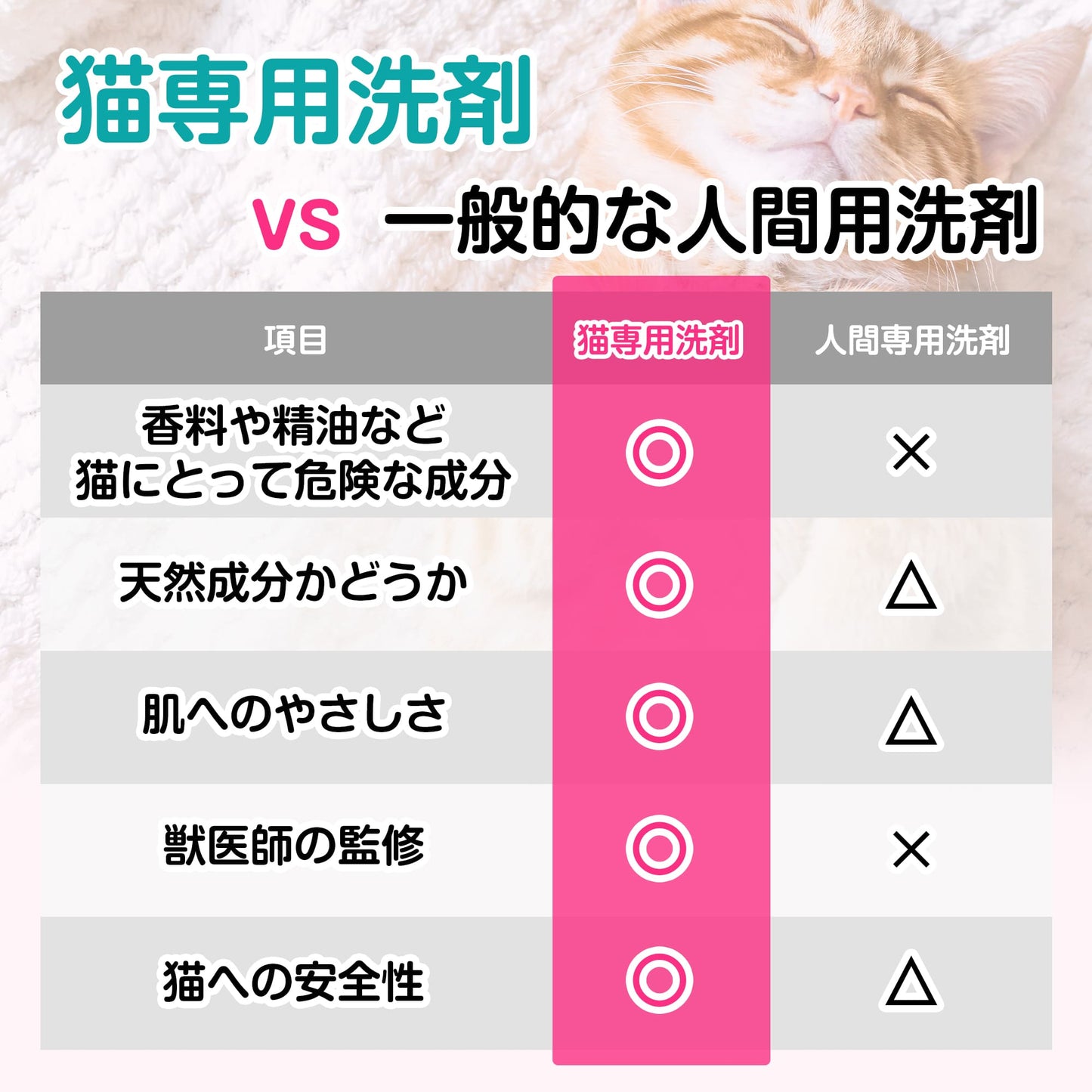 【獣医師監修】ネコ皿キレイ