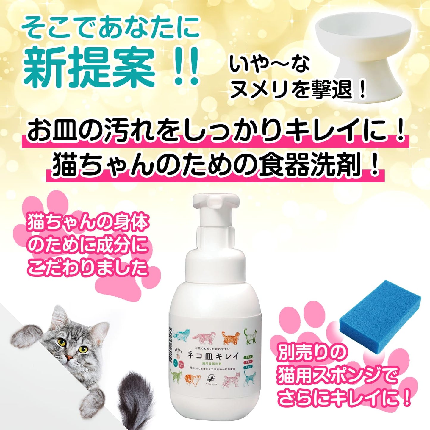 【獣医師監修】ネコ皿キレイ