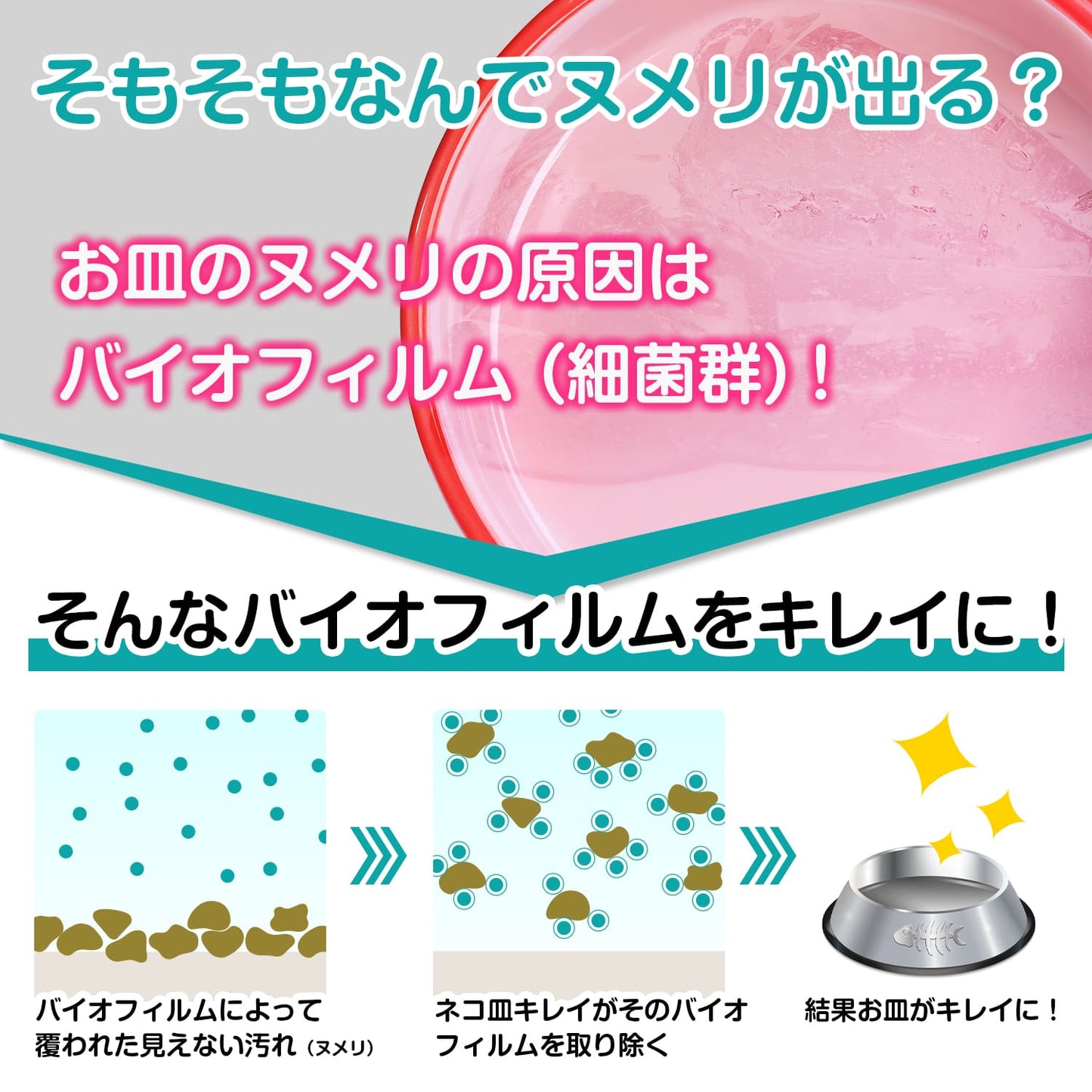 【獣医師監修】ネコ皿キレイ
