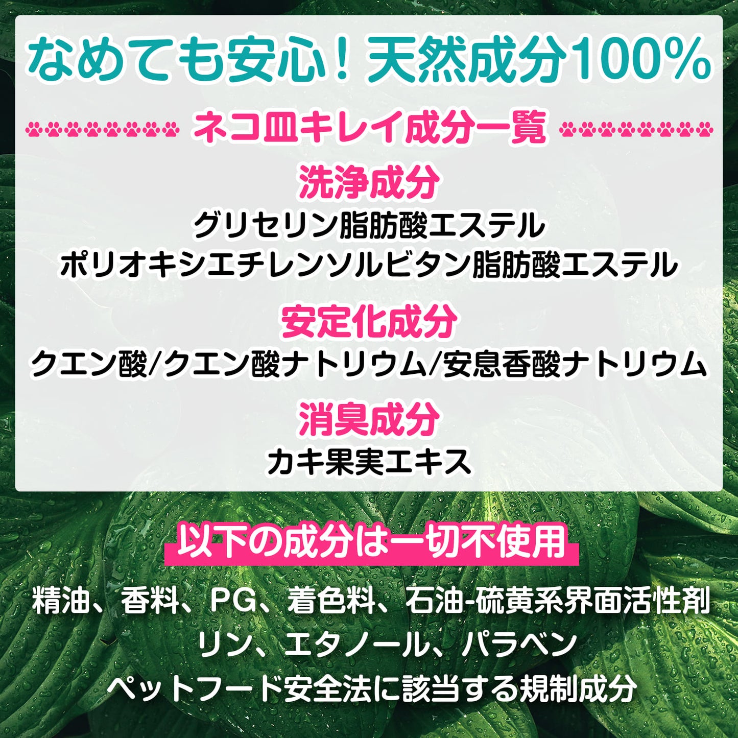 【獣医師監修】ネコ皿キレイ