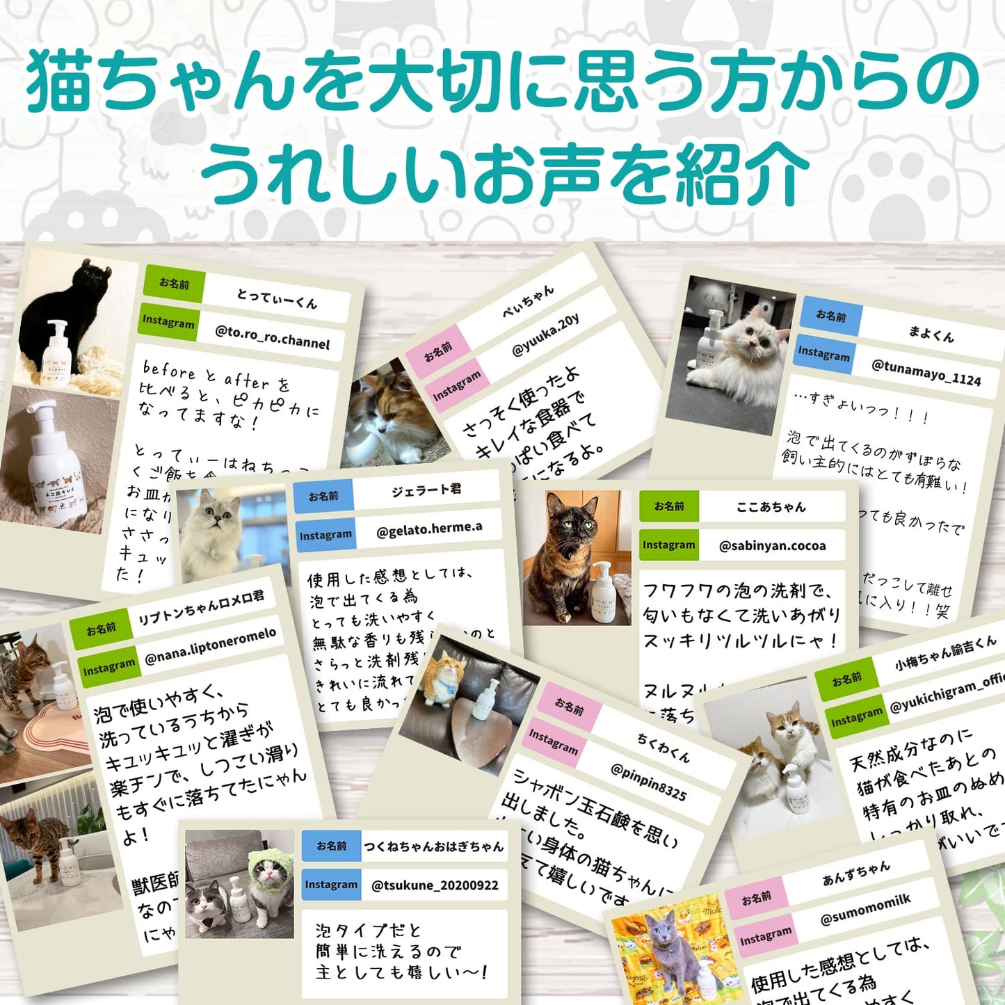 【獣医師監修】ネコ皿キレイ