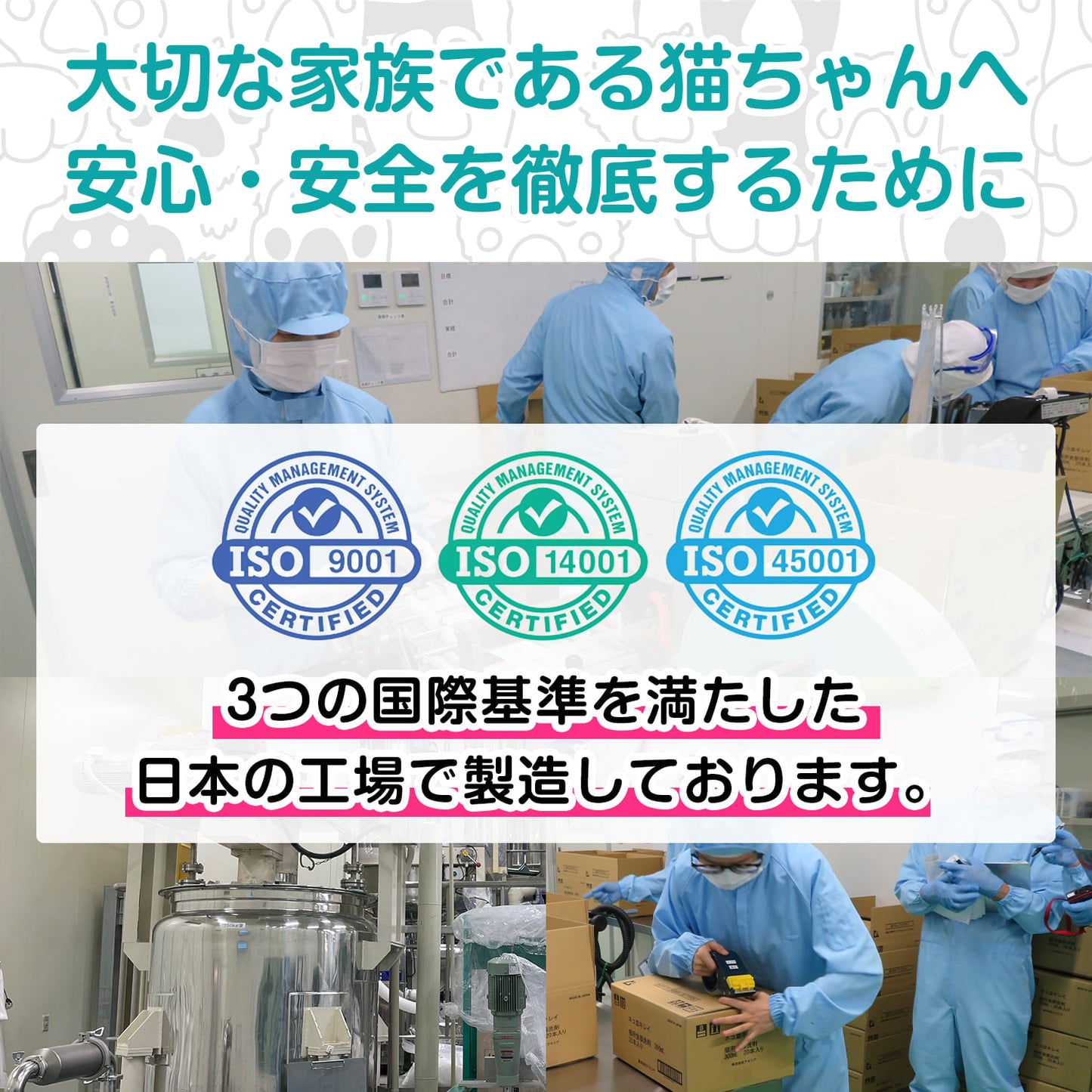 【獣医師監修】ネコ皿キレイ