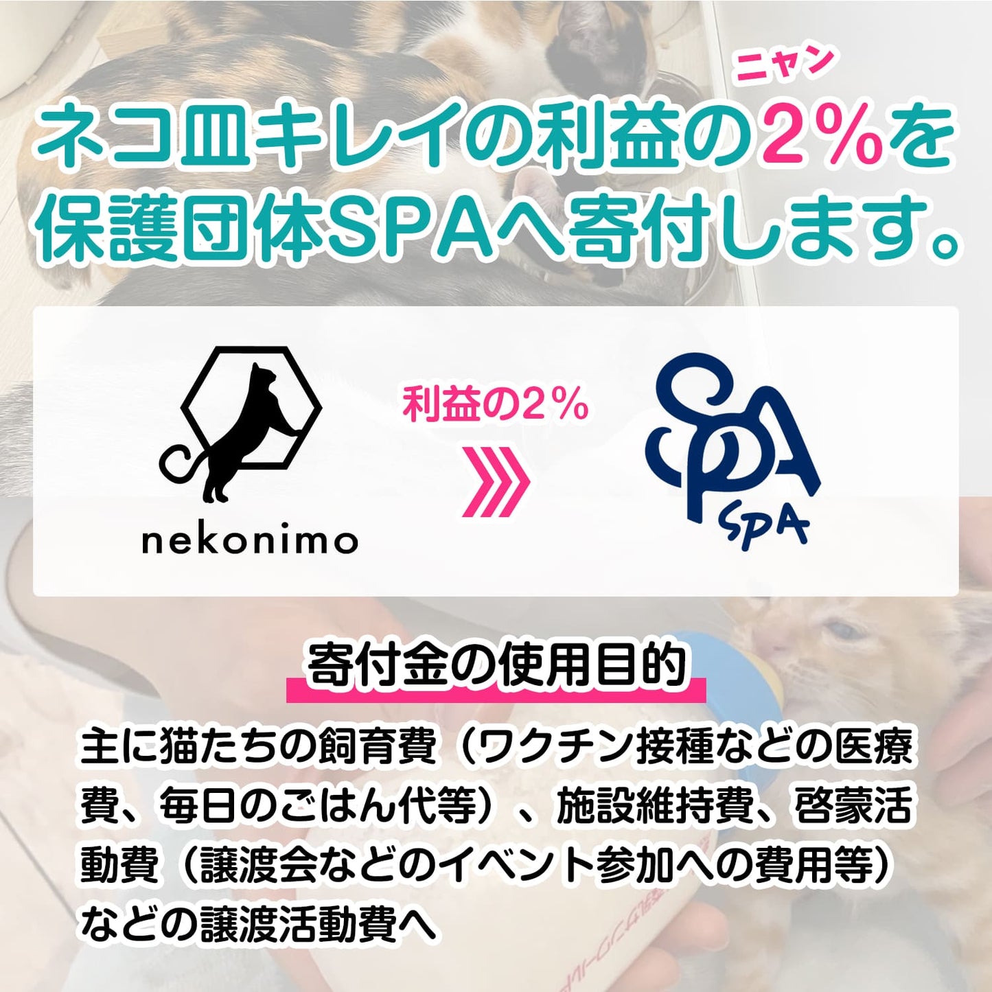 ネコ皿キレイ スポンジ
