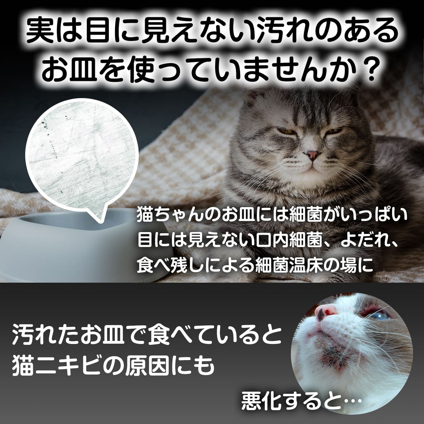 【獣医師監修】ネコ皿キレイ　3個セット【一番お得！】
